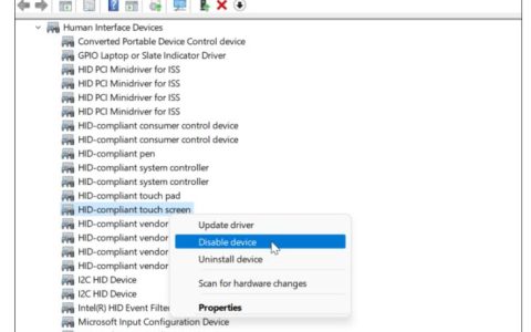 如何在Win11中禁用触摸屏（开启与禁用触摸板教程）