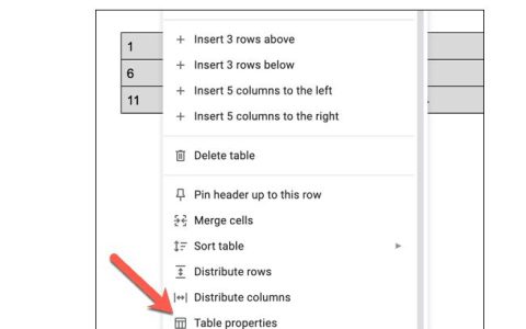 如何在Google文档中添加和删除表格边框