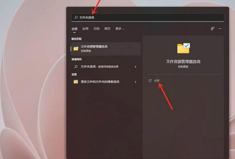 如何在Windows11上隐藏文件和文件夹