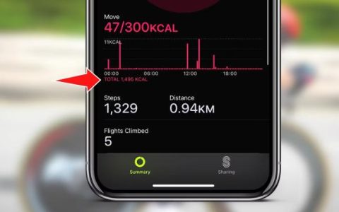 Apple Watch上的总卡路里：它们的含义以及查看位置