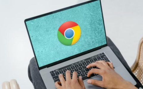 如何在谷歌Chrome上启用内存保护器和节能器