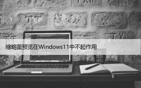 解决Windows11系统无法查看缩略图的问题？这是修复！