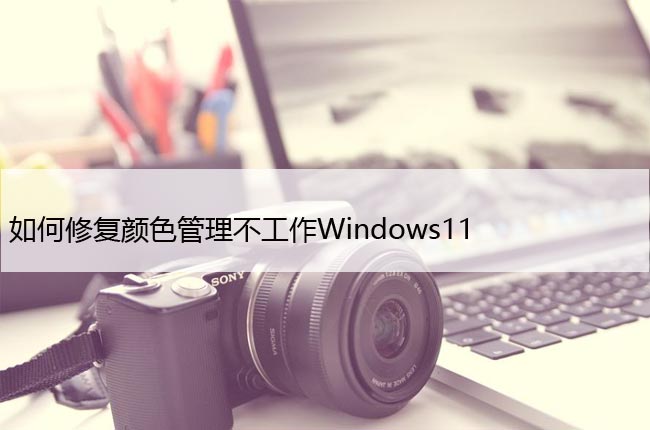 如何修复颜色管理不工作Windows11，色彩管理无效