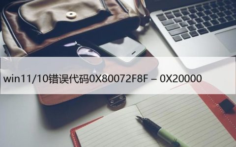 win11/10错误代码0X80072F8F – 0X20000[修复方法]