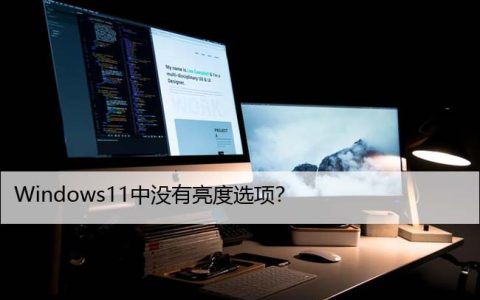 Windows11中没有亮度选项？尝试这些修复