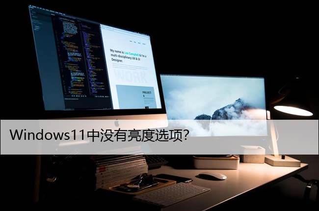 Windows11中没有亮度选项？尝试这些修复