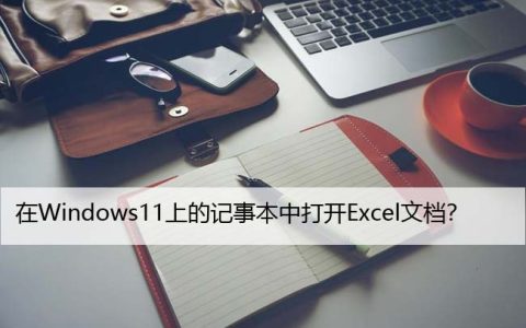修复：在Windows11上的记事本中打开Excel文档？