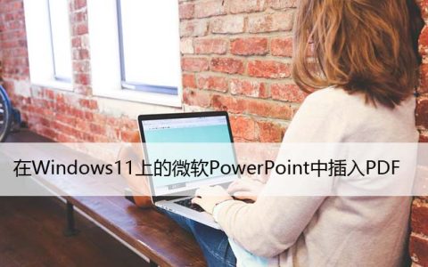 在Windows11上的微软PowerPoint中插入PDF