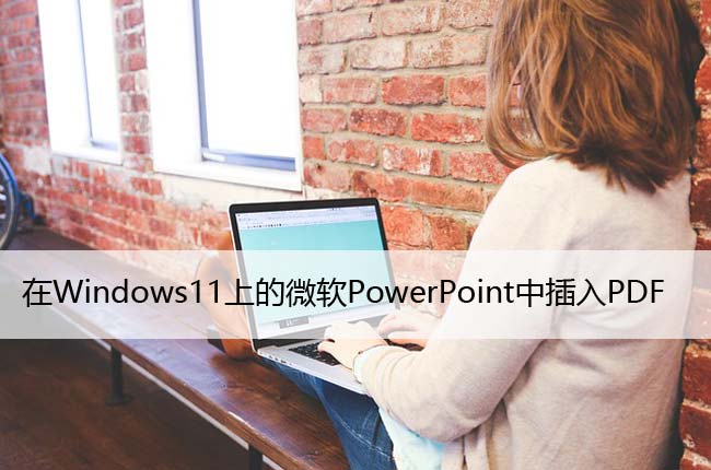 在Windows11上的微软PowerPoint中插入PDF