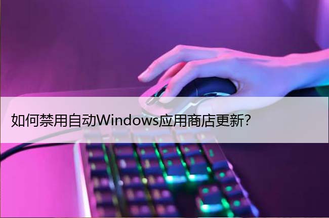 如何禁用自动Windows应用商店更新？
