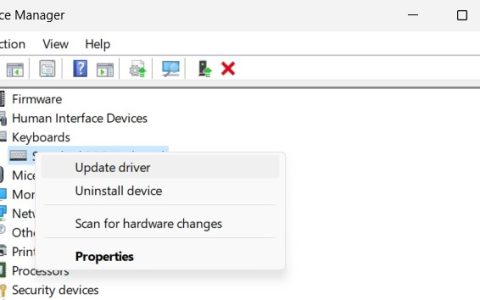 如何修复Ctrl + Alt + Delete在Win11没反应问题
