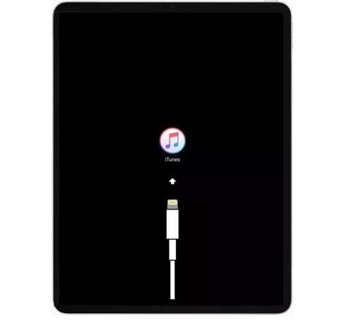 苹果iPad卡在Apple标志，简单修复的5种方法