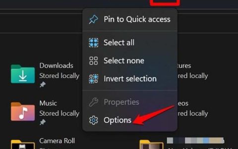 如何修复Windows11上不显示的PDF缩略图？