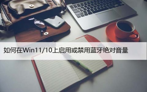 如何在Windows11/10上启用或禁用蓝牙绝对音量