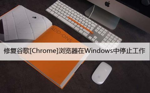 修复谷歌[Chrome]浏览器在Windows中停止工作