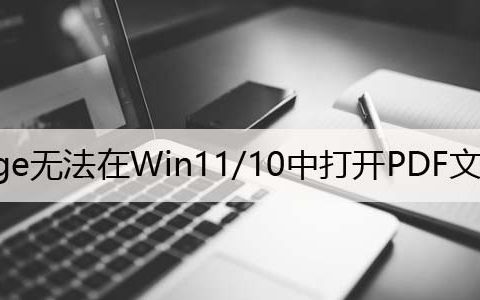 修复：Edge无法在Win11/10中打开PDF文件