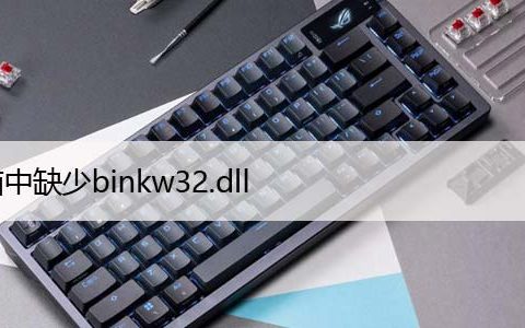 电脑中缺少binkw32.dll（Win11/10中丢失binkw32修复）