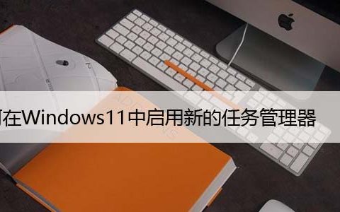 如何在Windows11中启用新的任务管理器