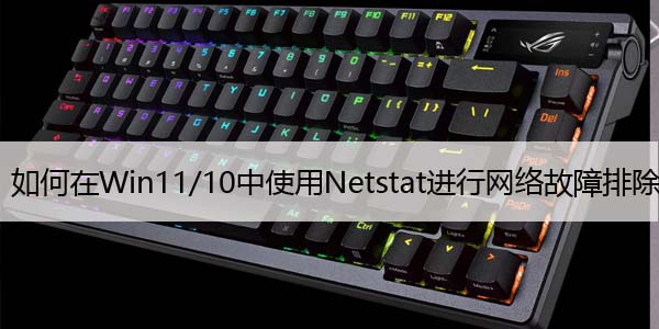 如何在Win11/10中使用Netstat进行网络故障排除