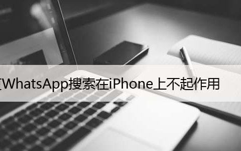 修复WhatsApp搜索在iPhone上不起作用，6大方法