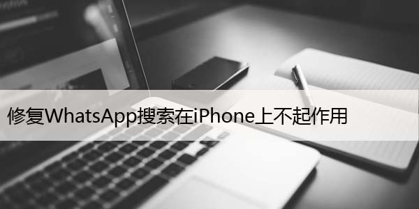 修复WhatsApp搜索在iPhone上不起作用，6大方法