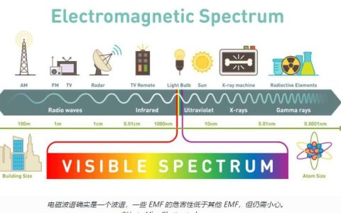 什么是电场和磁场，手机EMF安全吗？