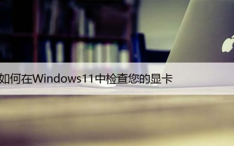 如何在Windows11中检查您的显卡