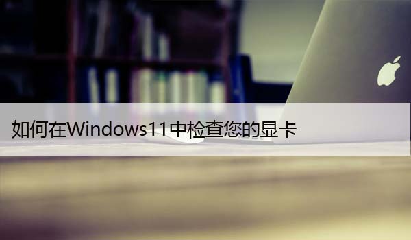 如何在Windows11中检查您的显卡