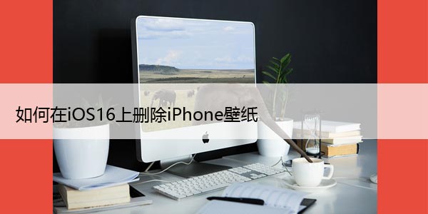 如何在iOS16上删除iPhone壁纸，快捷技巧