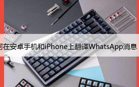 如何在安卓手机和iPhone上翻译WhatsApp消息