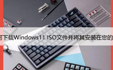 如何下载Windows11 ISO文件并将其安装在您的电脑上