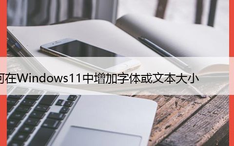 如何在Windows11中增加字体或文本大小