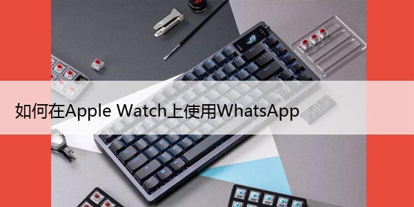 如何在Apple Watch上使用WhatsApp，一文教你看懂