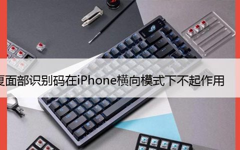 修复面部识别码在iPhone横向模式下不起作用，6 种方法