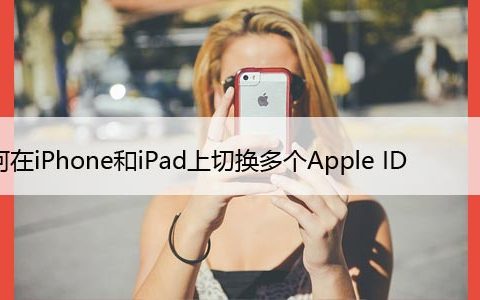 如何在iPhone和iPad上切换多个Apple ID