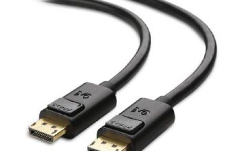 DisplayPort是否携带音频？