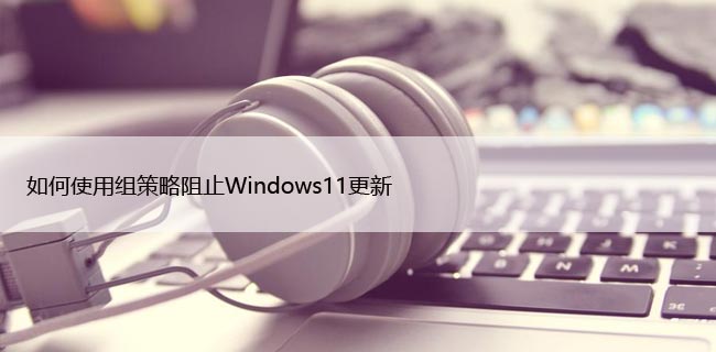 如何使用组策略阻止Windows11更新，步骤详解