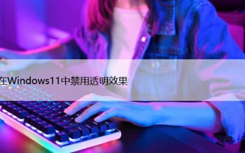 如何在Windows11中禁用透明效果，快速设置