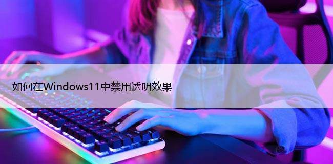 如何在Windows11中禁用透明效果，快速设置