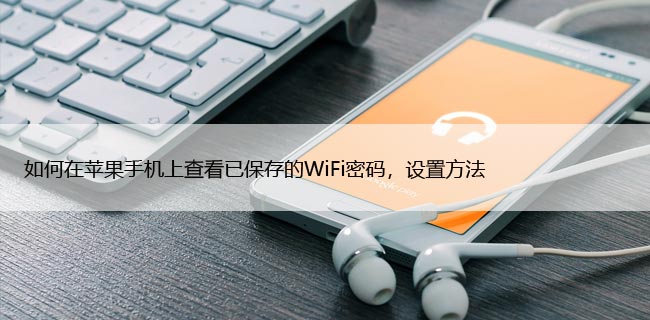 如何在苹果手机上查看已保存的WiFi密码，设置方法