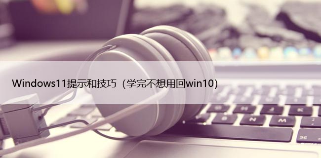 Windows11提示和技巧（学完不想用回win10）