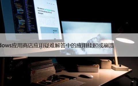 Windows应用商店应用疑难解答中的应用挂起或崩溃