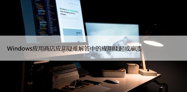 Windows应用商店应用疑难解答中的应用挂起或崩溃