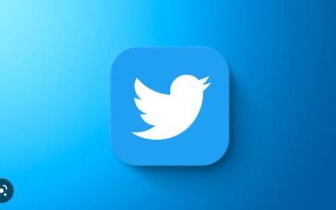 您能看到谁查看了您的Twitter个人资料吗？没有！