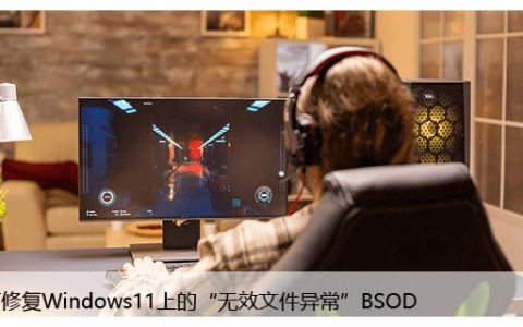 如何修复Windows11上的“无效文件异常”BSOD