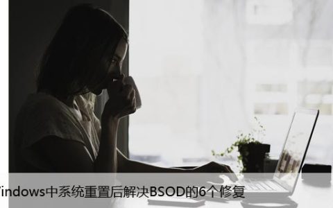 在Windows中系统重置后解决BSOD的6个修复