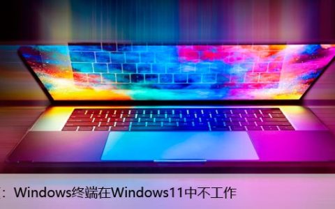 修复：Windows终端在Windows11中不工作