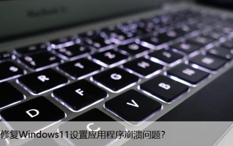 如何修复Windows11设置应用程序崩溃问题？