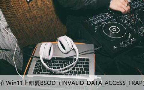 如何在Win11上修复BSOD（INVALID_DATA_ACCESS_TRAP）