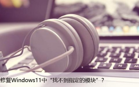 如何修复Windows11中“找不到指定的模块”？